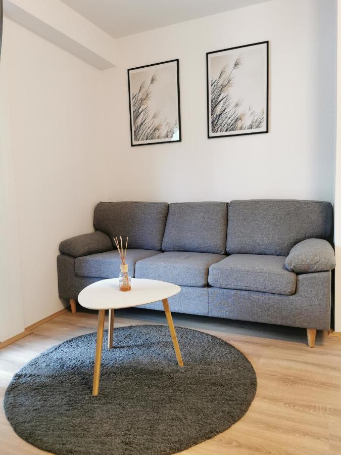Апартаменты Apartman Andro Самобор Экстерьер фото