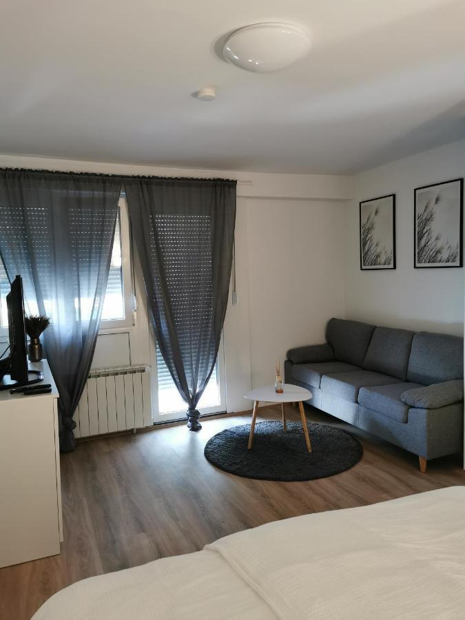 Апартаменты Apartman Andro Самобор Экстерьер фото